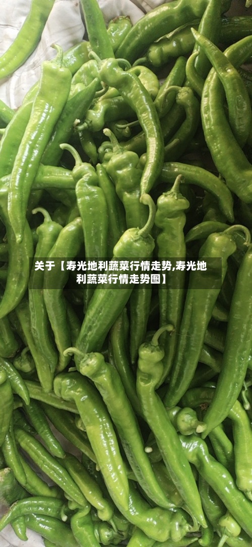 关于【寿光地利蔬菜行情走势,寿光地利蔬菜行情走势图】