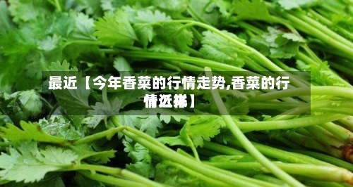 最近【今年香菜的行情走势,香菜的行情近来
什么样】