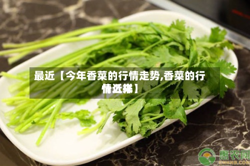 最近【今年香菜的行情走势,香菜的行情近来
什么样】-第3张图片