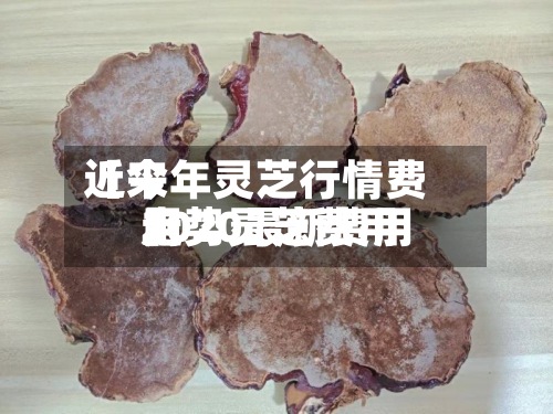 近来
【今年灵芝行情费用
走势灵芝费用
2020最新费用
】