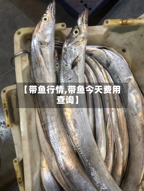 【带鱼行情,带鱼今天费用
查询】-第2张图片
