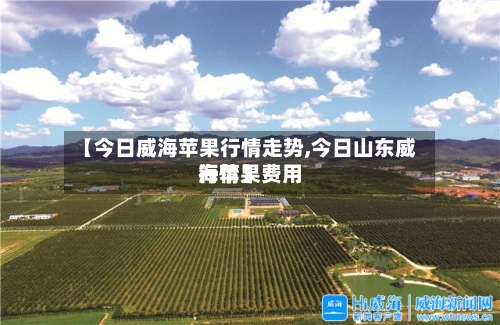 【今日威海苹果行情走势,今日山东威海苹果费用
行情】-第2张图片