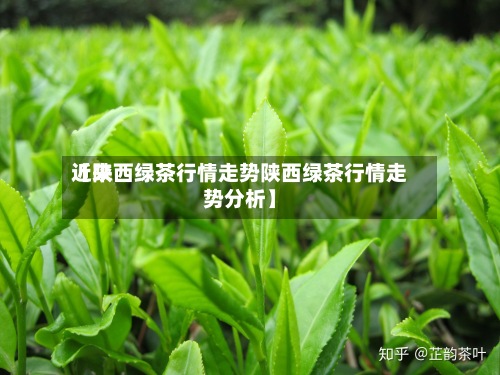 近来【陕西绿茶行情走势陕西绿茶行情走势分析】-第2张图片