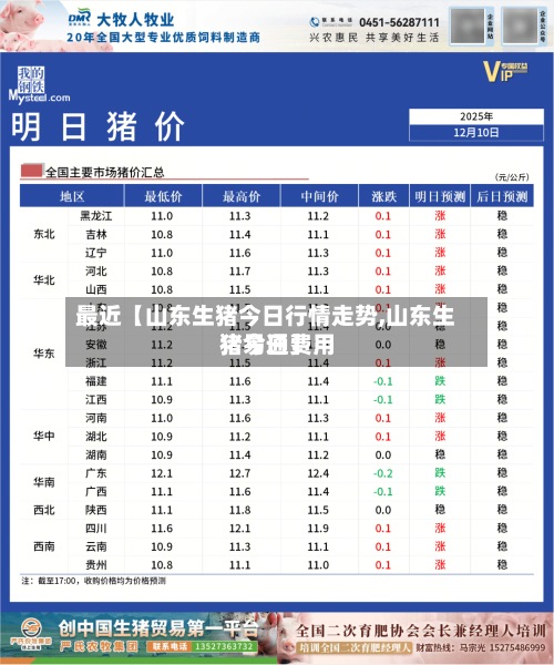 最近【山东生猪今日行情走势,山东生猪今日费用猪易通】-第2张图片