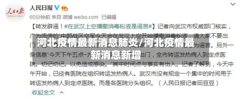 河北疫情最新消息肺炎/河北疫情最新消息新增-第2张图片
