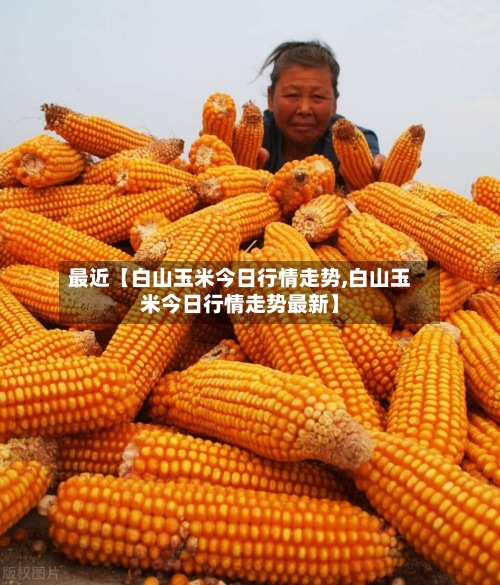 最近【白山玉米今日行情走势,白山玉米今日行情走势最新】-第3张图片