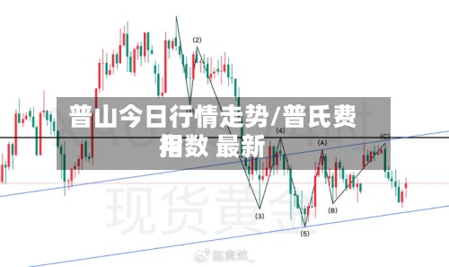 普山今日行情走势/普氏费用
指数 最新-第2张图片