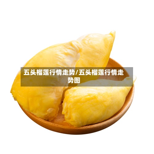 五头榴莲行情走势/五头榴莲行情走势图-第2张图片