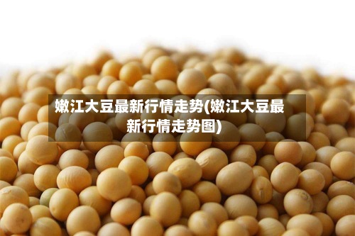 嫩江大豆最新行情走势(嫩江大豆最新行情走势图)-第3张图片