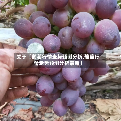 关于【葡萄行情走势预测分析,葡萄行情走势预测分析最新】-第2张图片