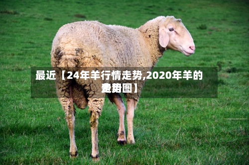 最近【24年羊行情走势,2020年羊的费用
走势图】