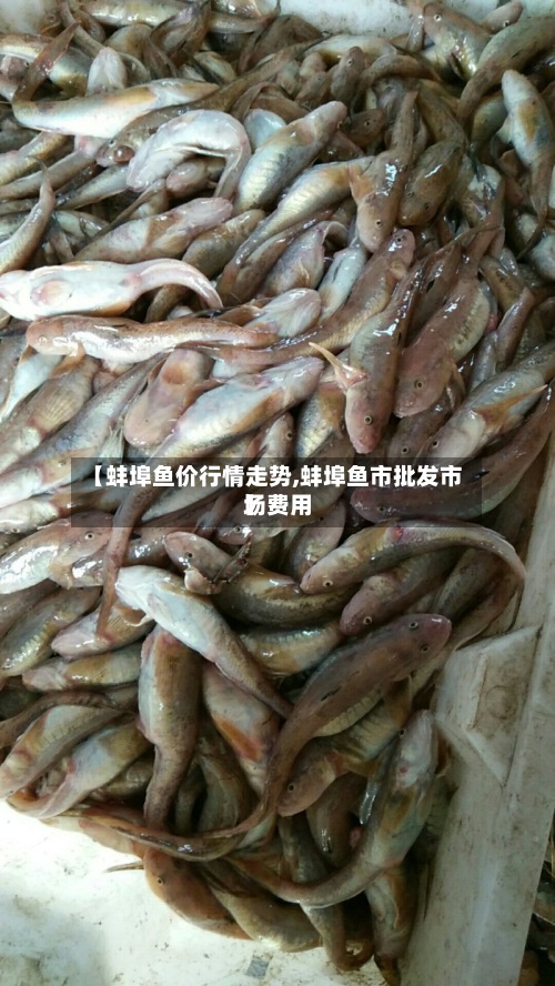 【蚌埠鱼价行情走势,蚌埠鱼市批发市场费用
】-第3张图片