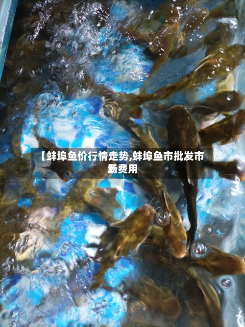 【蚌埠鱼价行情走势,蚌埠鱼市批发市场费用】