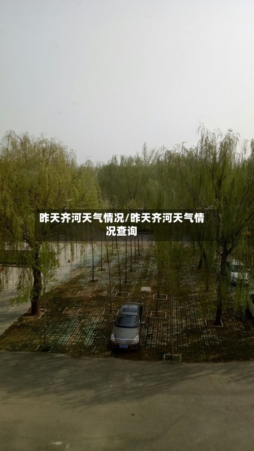 昨天齐河天气情况/昨天齐河天气情况查询-第3张图片
