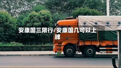 安康国三限行/安康国几可以上牌-第2张图片