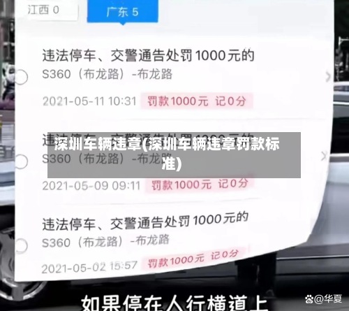 深圳车辆违章(深圳车辆违章罚款标准)-第2张图片