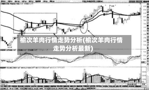 榆次羊肉行情走势分析(榆次羊肉行情走势分析最新)-第2张图片