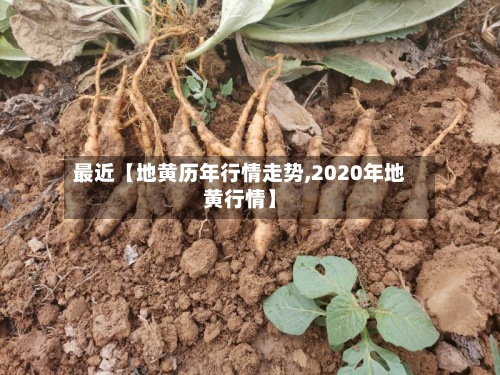 最近【地黄历年行情走势,2020年地黄行情】