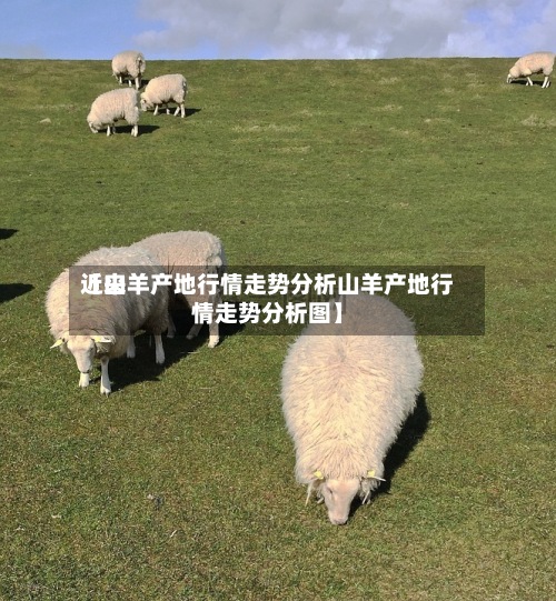 近来
【山羊产地行情走势分析山羊产地行情走势分析图】
