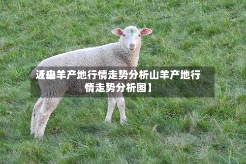 近来【山羊产地行情走势分析山羊产地行情走势分析图】-第2张图片