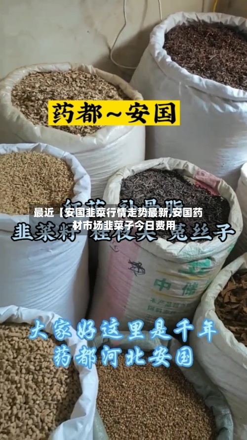 最近【安国韭菜行情走势最新,安国药材市场韭菜子今日费用
】-第2张图片