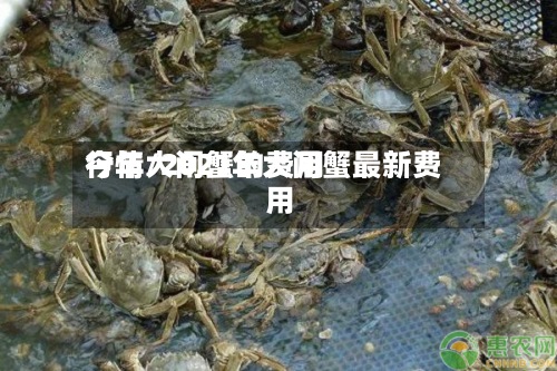 今年大闸蟹的费用
行情/2021年大闸蟹最新费用