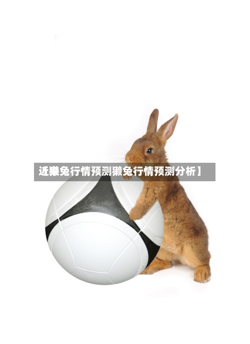 近来
【獭兔行情预测獭兔行情预测分析】-第3张图片