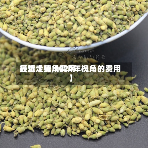 最近【槐角费用
行情走势,2020年槐角的费用
】