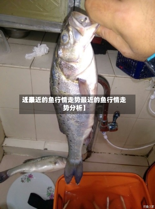 近来
【最近的鱼行情走势最近的鱼行情走势分析】