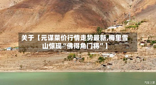 关于【元谋菜价行情走势最新,梅里雪山惊现“佛得角门将”】-第2张图片