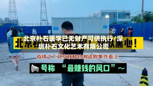北京朴石医学已无财产可供执行/深圳朴石文化艺术有限公司-第3张图片