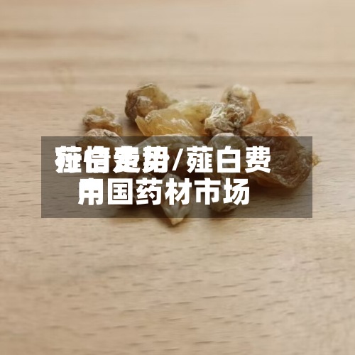 薤白费用
行情走势/薤白费用
中国药材市场-第2张图片