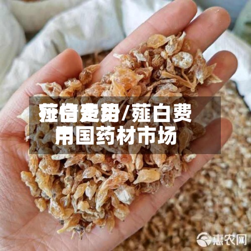 薤白费用
行情走势/薤白费用
中国药材市场-第3张图片