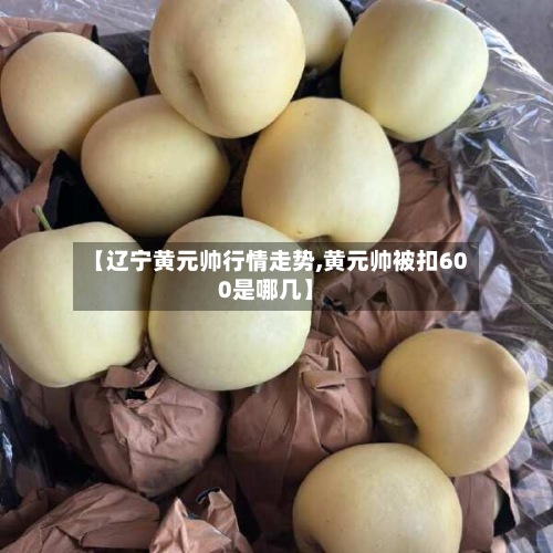 【辽宁黄元帅行情走势,黄元帅被扣600是哪几】-第3张图片