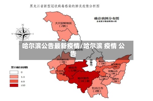 哈尔滨公告最新疫情/哈尔滨 疫情 公告-第3张图片