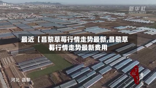 最近【昌黎草莓行情走势最新,昌黎草莓行情走势最新费用】