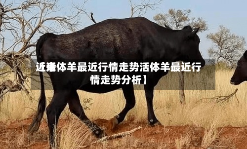 近来【活体羊最近行情走势活体羊最近行情走势分析】