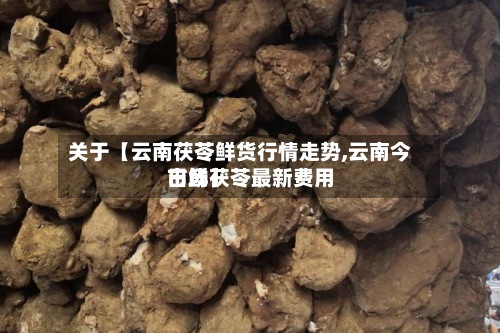关于【云南茯苓鲜货行情走势,云南今日鲜茯苓最新费用
市场】-第3张图片