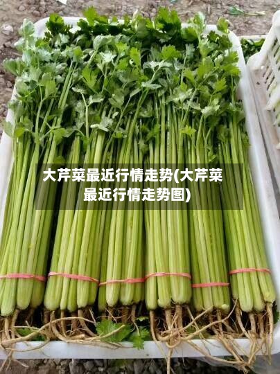 大芹菜最近行情走势(大芹菜最近行情走势图)