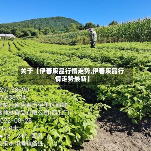 关于【伊春废品行情走势,伊春废品行情走势最新】