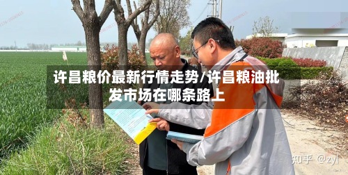 许昌粮价最新行情走势/许昌粮油批发市场在哪条路上