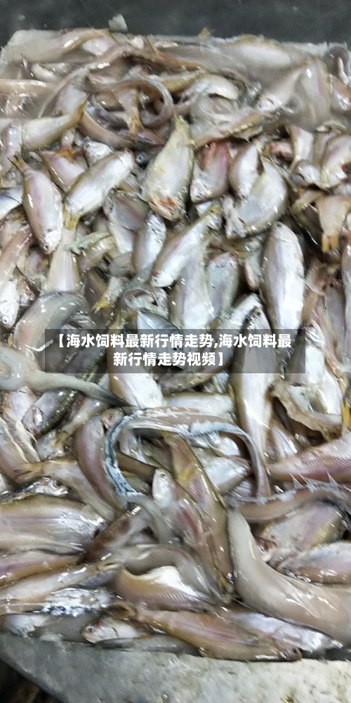 【海水饲料最新行情走势,海水饲料最新行情走势视频】