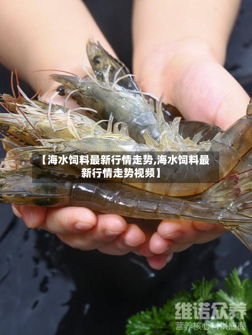 【海水饲料最新行情走势,海水饲料最新行情走势视频】-第2张图片