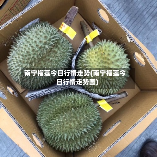 南宁榴莲今日行情走势(南宁榴莲今日行情走势图)-第3张图片