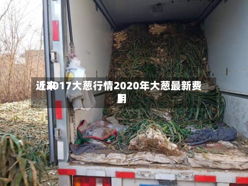 近来【2017大葱行情2020年大葱最新费用】-第3张图片