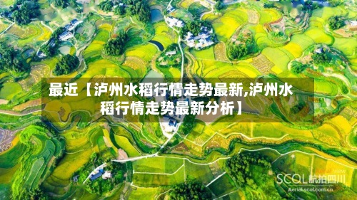 最近【泸州水稻行情走势最新,泸州水稻行情走势最新分析】-第2张图片
