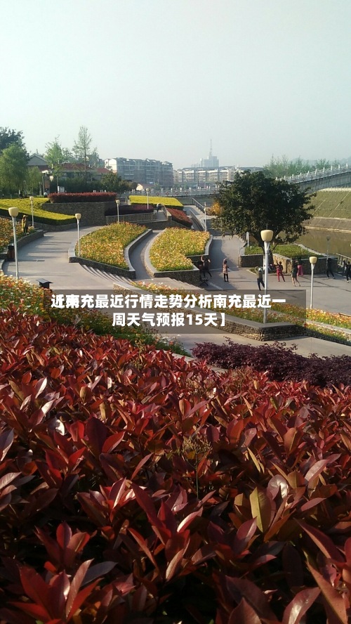 近来
【南充最近行情走势分析南充最近一周天气预报15天】-第3张图片