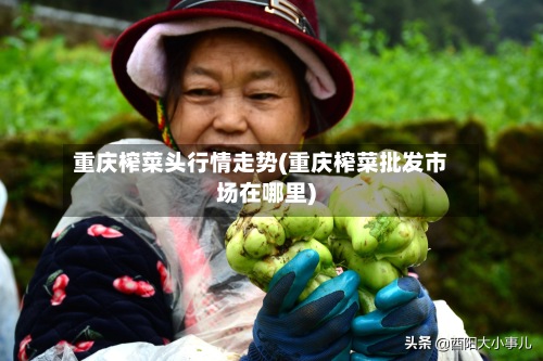 重庆榨菜头行情走势(重庆榨菜批发市场在哪里)