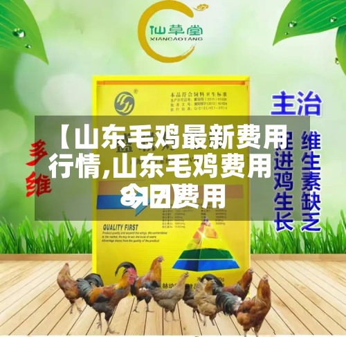 【山东毛鸡最新费用
行情,山东毛鸡费用
今日费用
817】-第3张图片