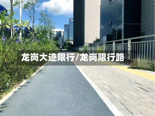 龙岗大迹限行/龙岗限行路-第2张图片